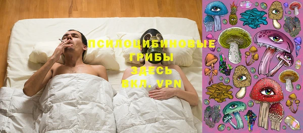 молекула духа Балахна