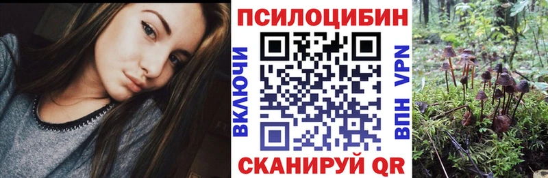 продажа наркотиков  Черняховск  Галлюциногенные грибы ЛСД 